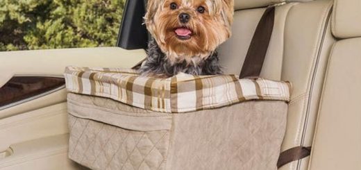 PetSafe Happy Ride Quilted Booster Seat